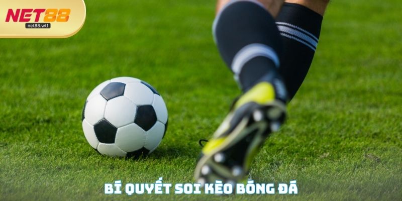 Bí quyết soi kèo bóng đá