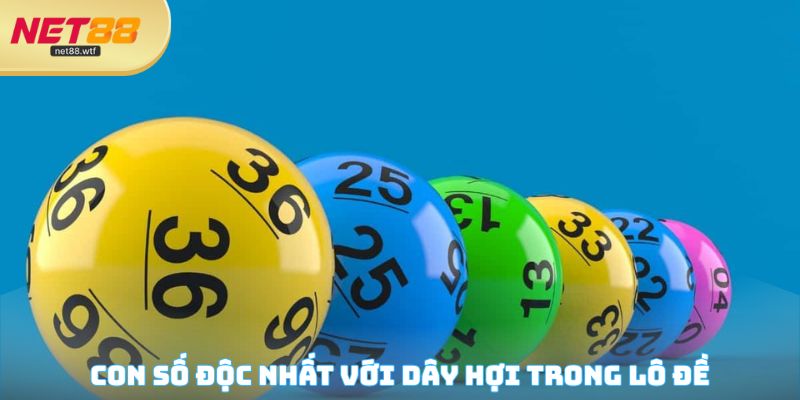 Con số độc nhất với dây hợi trong lô đề
