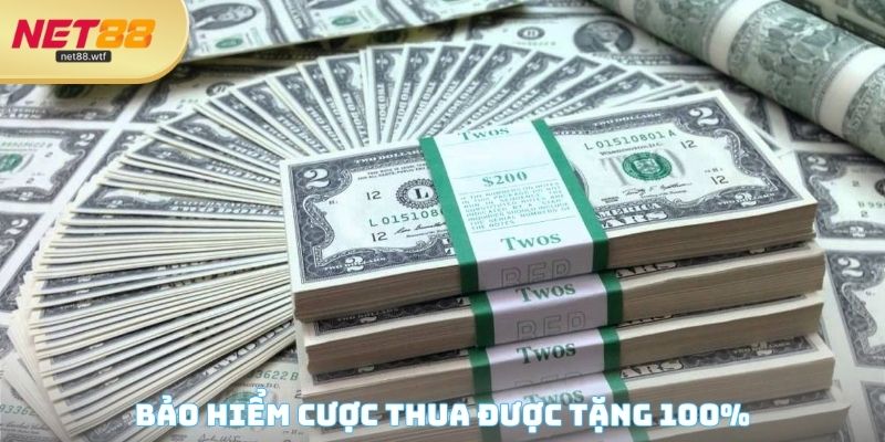 Bảo hiểm cược thua được nhà cái tặng 100%