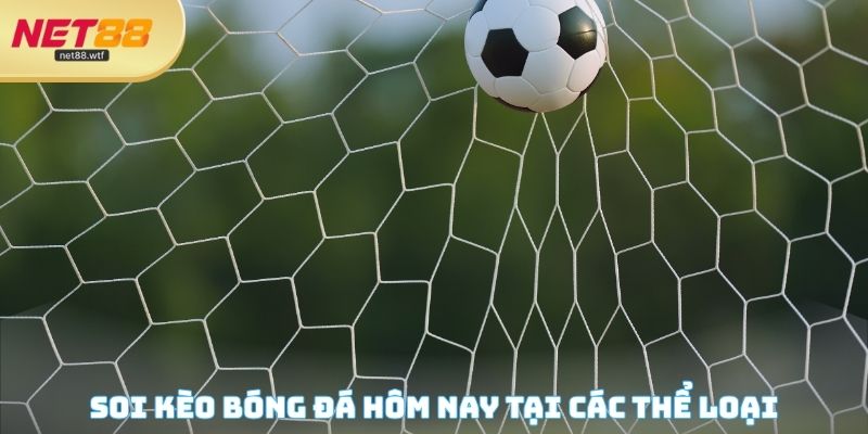 Soi kèo bóng đá hôm nay tại các thể loại